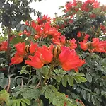 Casa Rinaifi 别墅 Guatiza