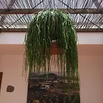 别墅 Casa Rinaifi *