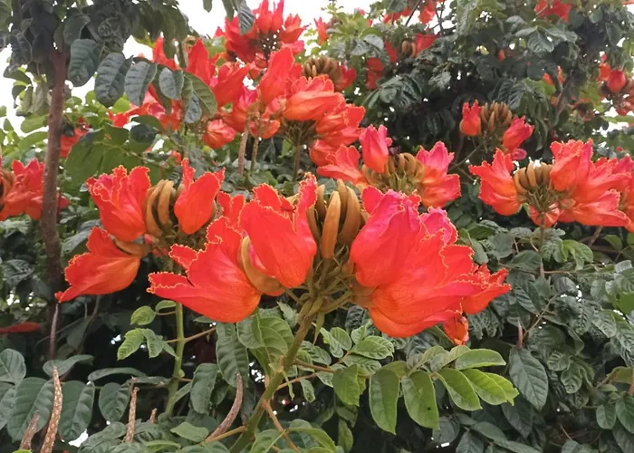 Casa Rinaifi Βίλα Guatiza