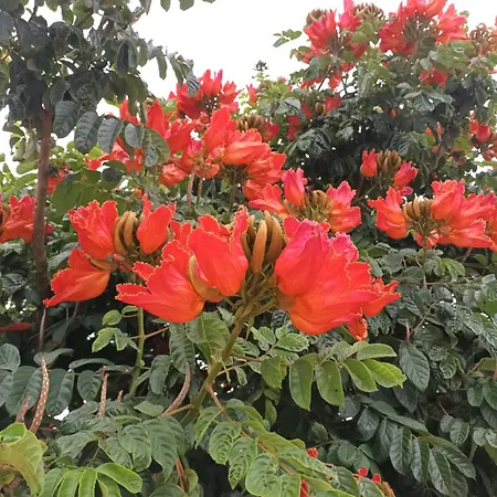 Casa Rinaifi Βίλα Guatiza