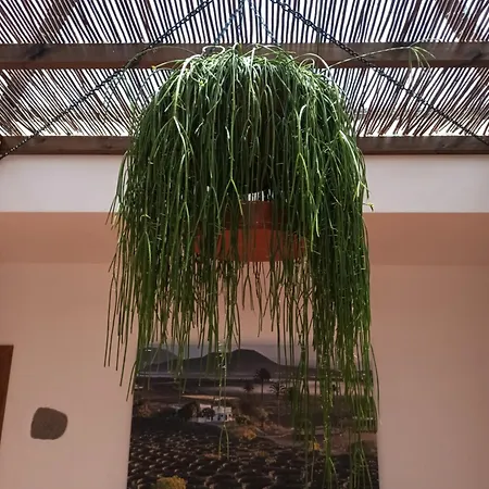 Βίλα Casa Rinaifi *